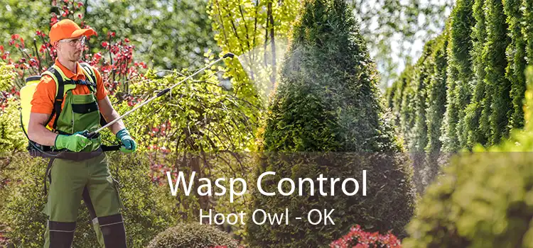 Wasp Control Hoot Owl - OK