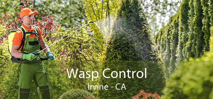 Wasp Control Irvine - CA