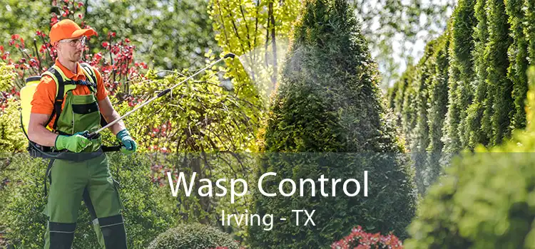 Wasp Control Irving - TX