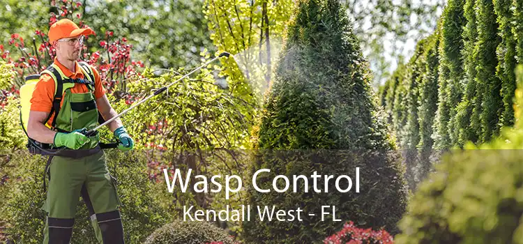 Wasp Control Kendall West - FL