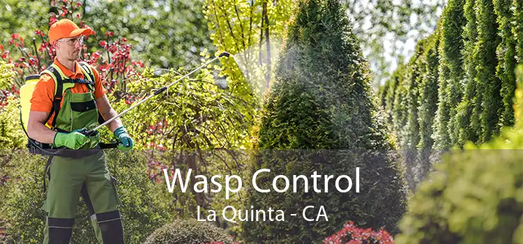 Wasp Control La Quinta - CA
