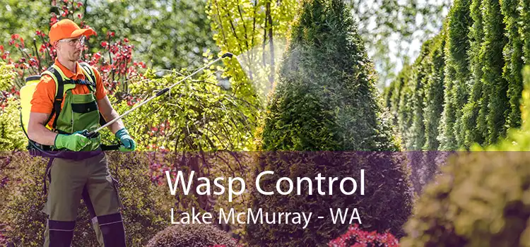 Wasp Control Lake McMurray - WA