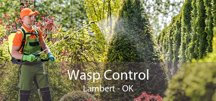 Wasp Control Lambert - OK