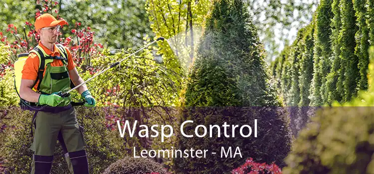 Wasp Control Leominster - MA