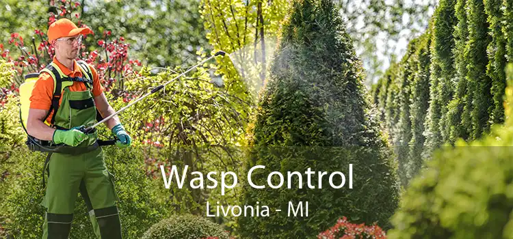 Wasp Control Livonia - MI