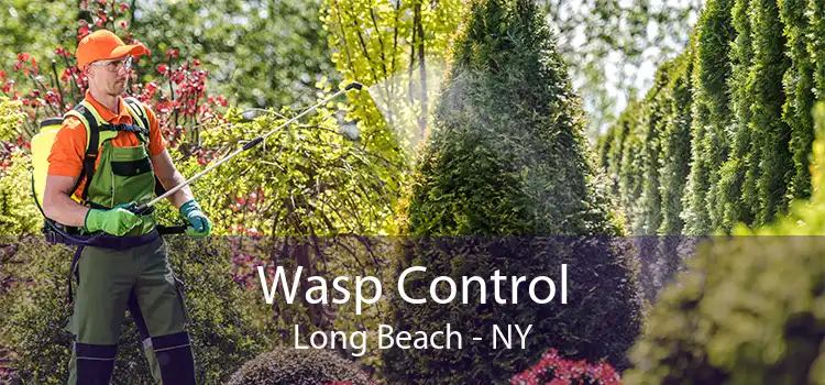 Wasp Control Long Beach - NY