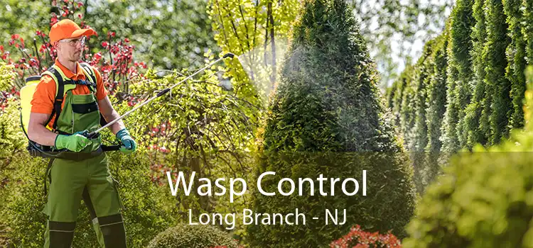 Wasp Control Long Branch - NJ