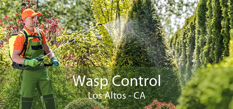 Wasp Control Los Altos - CA
