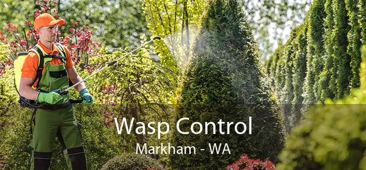 Wasp Control Markham - WA