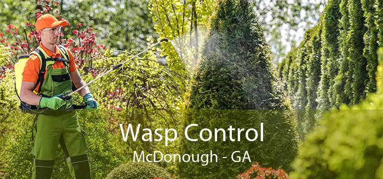 Wasp Control McDonough - GA
