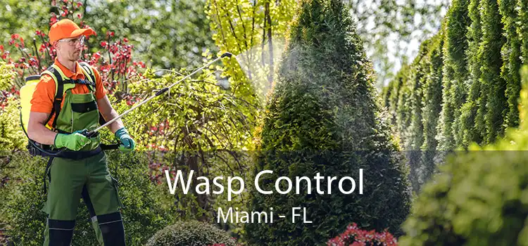 Wasp Control Miami - FL