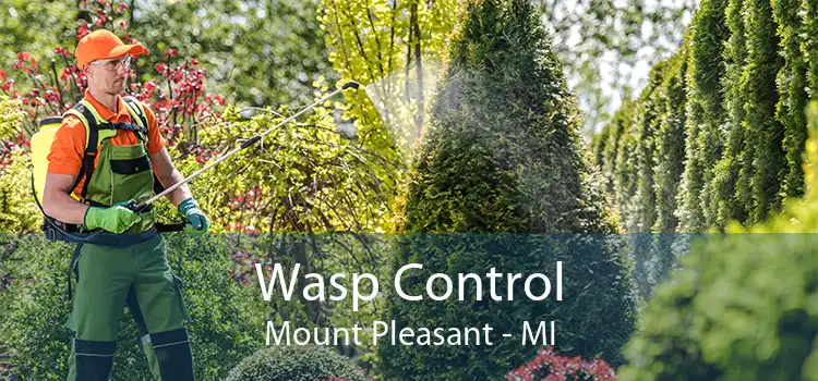 Wasp Control Mount Pleasant - MI
