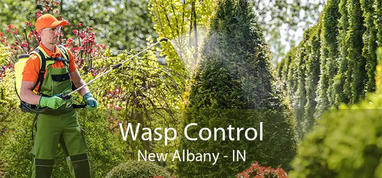 Wasp Control New Albany - IN