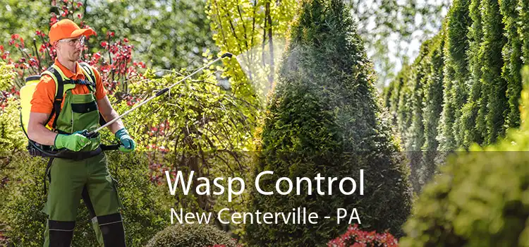 Wasp Control New Centerville - PA