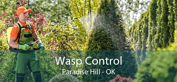 Wasp Control Paradise Hill - OK