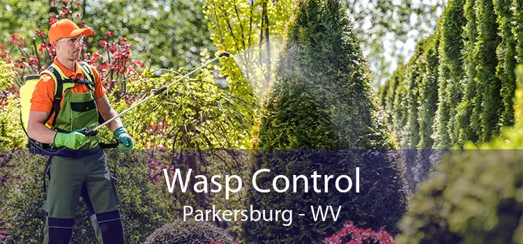Wasp Control Parkersburg - WV