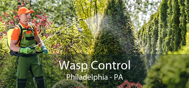 Wasp Control Philadelphia - PA