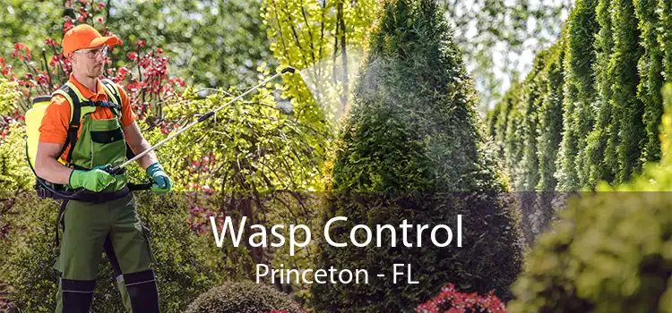 Wasp Control Princeton - FL