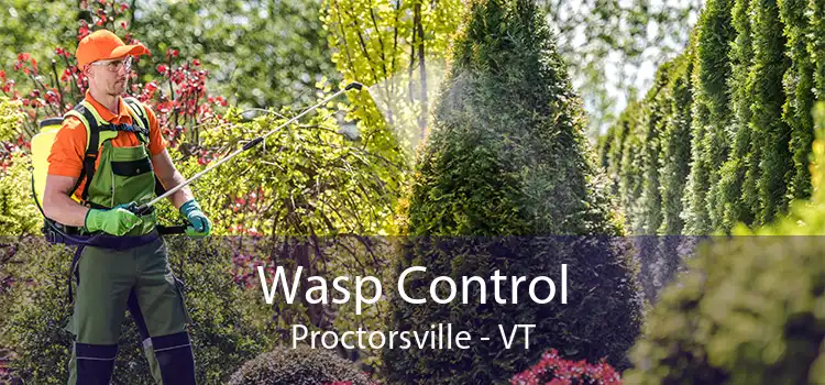 Wasp Control Proctorsville - VT