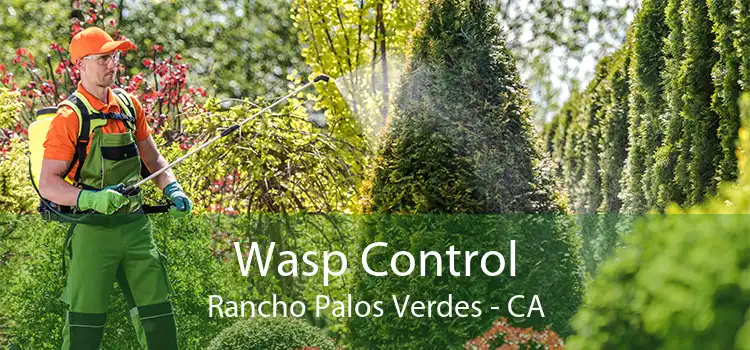 Wasp Control Rancho Palos Verdes - CA