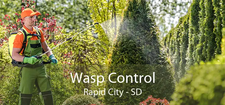 Wasp Control Rapid City - SD