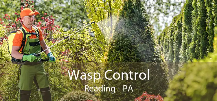 Wasp Control Reading - PA