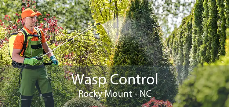 Wasp Control Rocky Mount - NC
