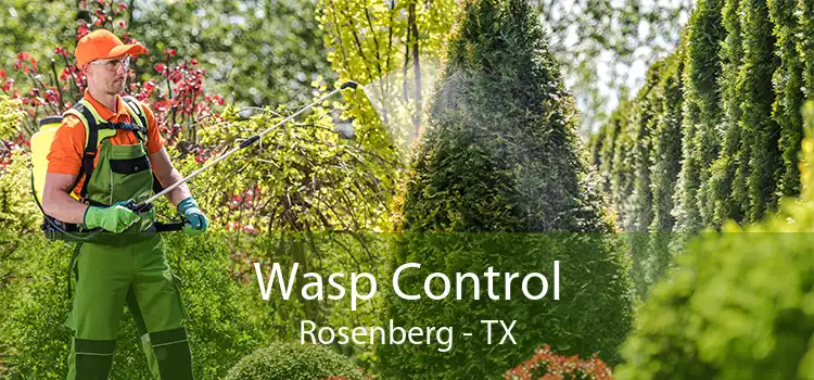 Wasp Control Rosenberg - TX