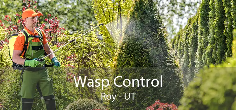 Wasp Control Roy - UT