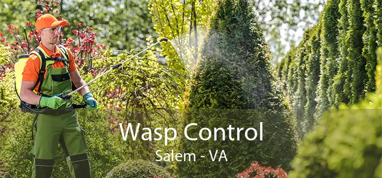 Wasp Control Salem - VA