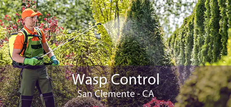 Wasp Control San Clemente - CA