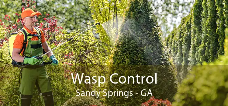 Wasp Control Sandy Springs - GA