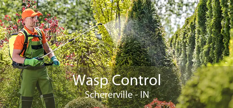 Wasp Control Schererville - IN