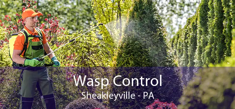 Wasp Control Sheakleyville - PA