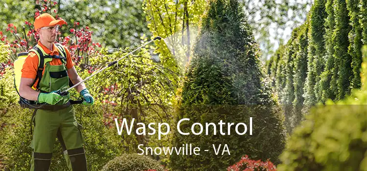 Wasp Control Snowville - VA