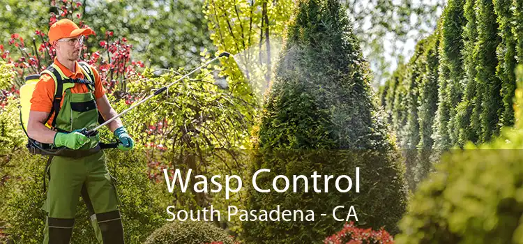 Wasp Control South Pasadena - CA