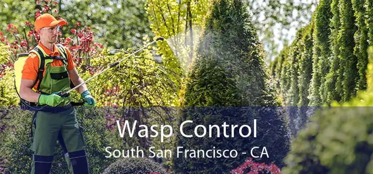 Wasp Control South San Francisco - CA