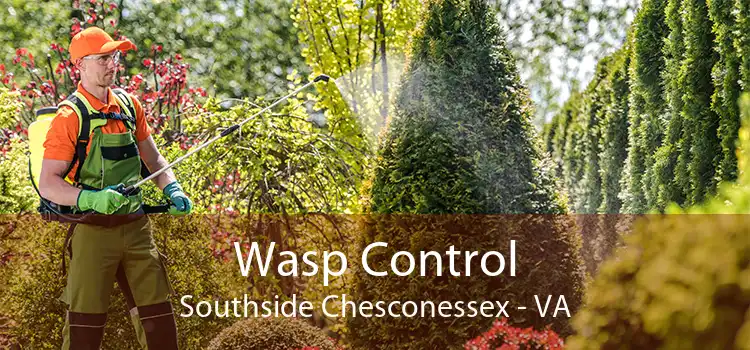 Wasp Control Southside Chesconessex - VA