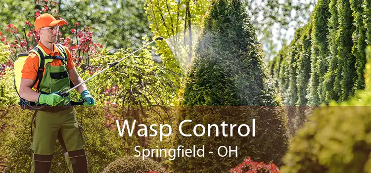 Wasp Control Springfield - OH