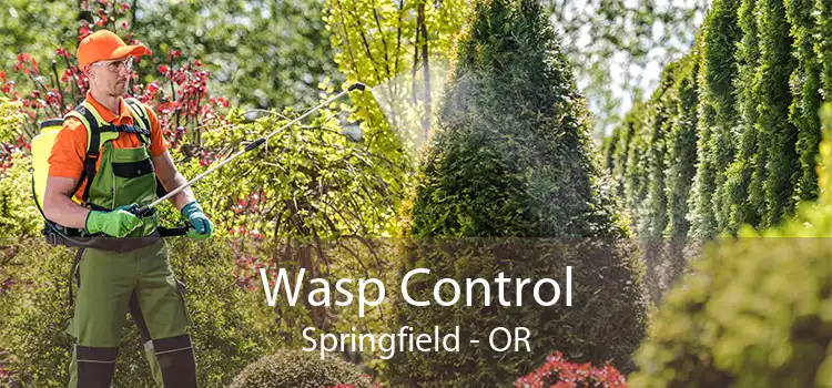 Wasp Control Springfield - OR