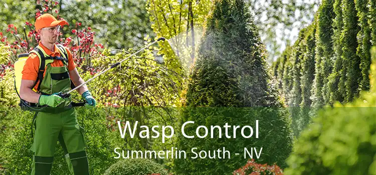 Wasp Control Summerlin South - NV