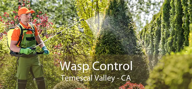 Wasp Control Temescal Valley - CA