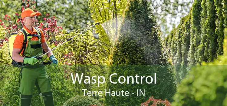 Wasp Control Terre Haute - IN