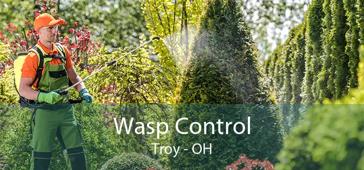 Wasp Control Troy - OH
