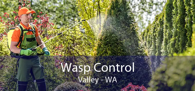 Wasp Control Valley - WA