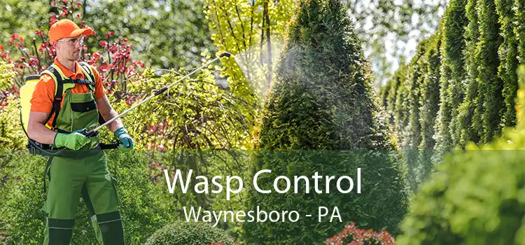 Wasp Control Waynesboro - PA
