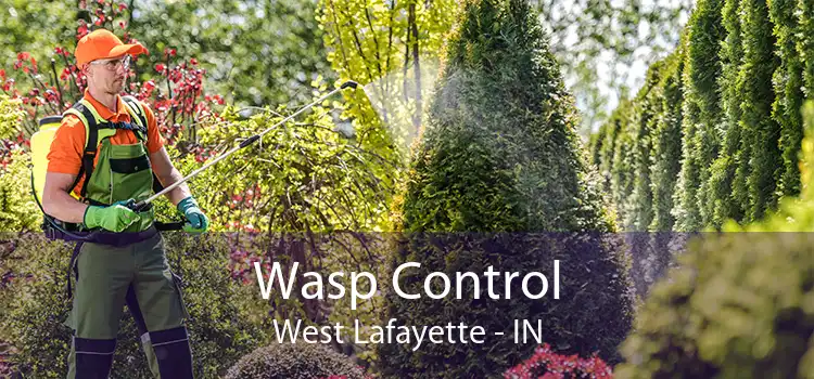 Wasp Control West Lafayette - IN
