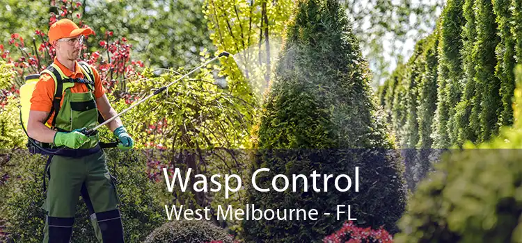 Wasp Control West Melbourne - FL