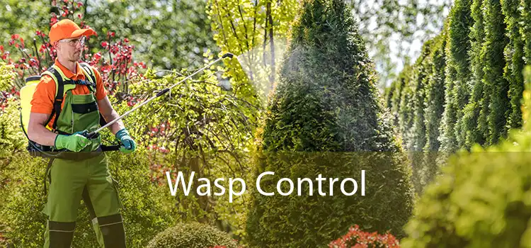 Wasp Control 