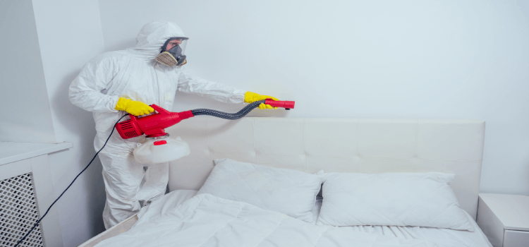 Mosquito Pest Control in Pasadena